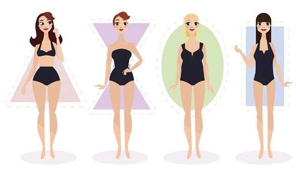 free body shape calculator