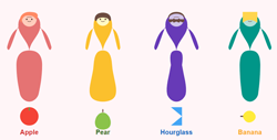 Calculaor body types